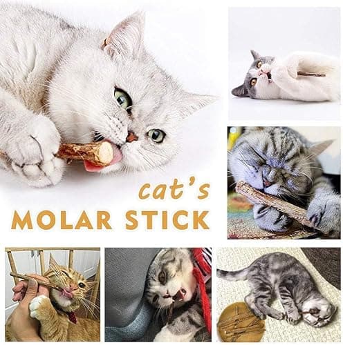 AILUKI 35PCS Cat Toys Variety Pack for Indoor Cats, Kitten Toys Cat Tunnel | Kitten Toys for Indoor Kittens Cat Toy Bundle Set with Feather Wand, Plush Mice, Crinkle Balls & Interactive Cat Toys Bundle thumbnail 7