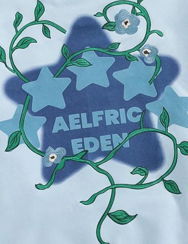 Aelfric Eden Floral Eden Star Pullover Hoodie Embroidery Graphic Hoodies Y2K Oversized Hooded Sweatshirt thumbnail 5