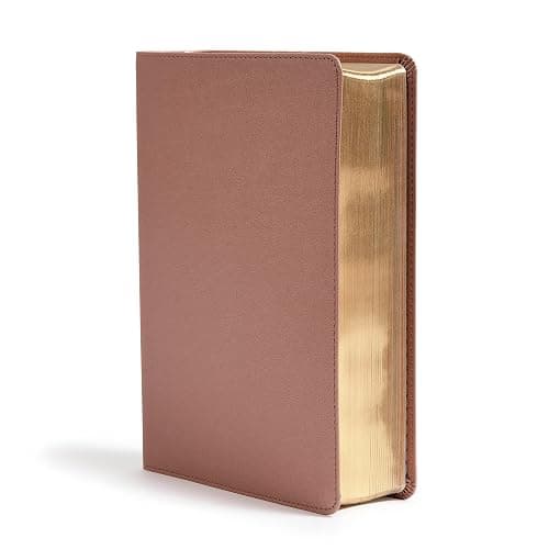 CSB She Reads Truth Bible, Rose Gold LeatherTouch, Black Letter, Full-Color Design, Wide Margins, Journaling Space, Devotionals, Reading Plans, Single-Column, Easy-to-Read Bible Serif Type thumbnail 2