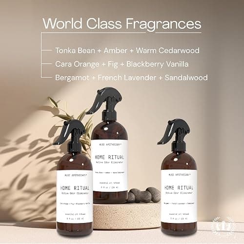 Muse Apothecary Home Ritual Active Odor Eliminator Spray - Furniture Deodorizer Spray & Bathroom Odor Eliminator for Home - Essential Oil Air Freshener - 8oz, Cara Orange + Fig + Blackberry Vanilla thumbnail 4