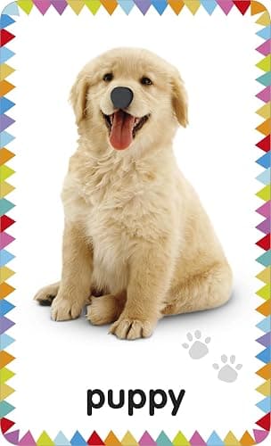 My First Touch and Feel Picture Cards: Animals (My First Board Books) thumbnail 4