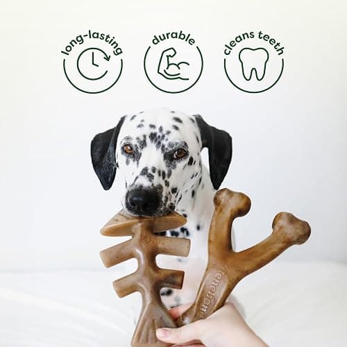 Benebone 4-Pack Ball/Bone/Bacon Wishbone/Fishbone Medium thumbnail 5
