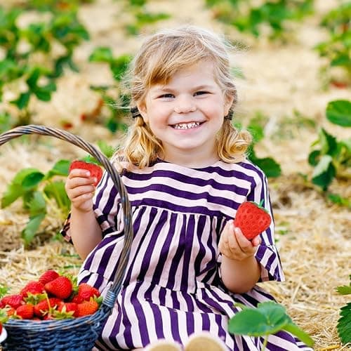 Squishy Aliment Mignon Forme au Choix - Fraise, Banane, Cacahuète - Jouet Sensoriel Anti-Stress Retour Lent - Cadeau Kawaii pour Enfant et Adulte (Fraise) thumbnail 7