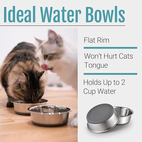 PEGGY11 Nonslip Stainless Steel Dog Cat Bowls, 2 US Cup Each, 2 Pack | No slide silicone bottom, Dishwasher safe, Easy to clean, Stackable design thumbnail 4