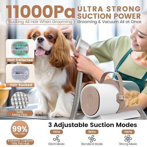 Dog Grooming Vacuum, Pet Grooming Kit, Dog Clipper Nail Trimmer Grinder, 2.5L Dust Cup 7 Grooming Tools 11000Pa Dog Vacuum for Shedding Grooming, Pet Grooming Vacuum for Dogs, Home Cleaning, PG50 Plus thumbnail 3