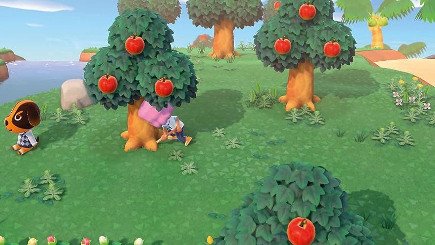 Nintendo Animal Crossing: New Horizons - [Nintendo Switch] thumbnail 9