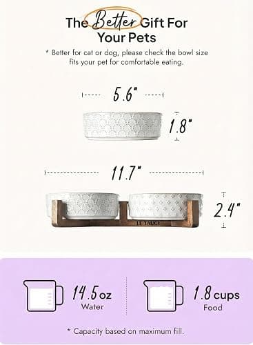 Food bowls  thumbnail 4