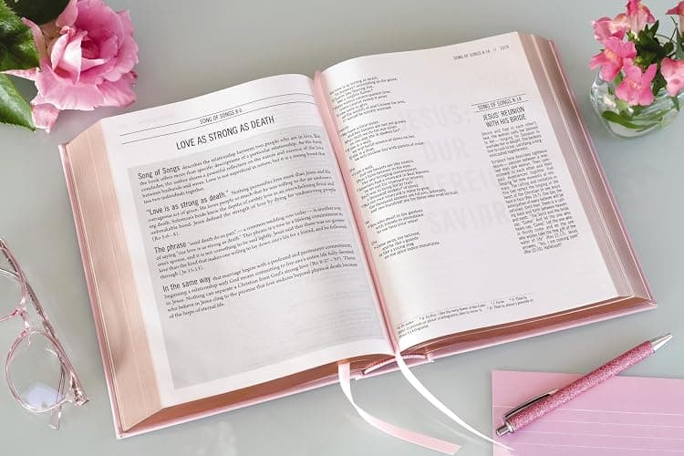 The Jesus Bible, NIV Edition, Leathersoft over Board, Pink, Comfort Print thumbnail 7