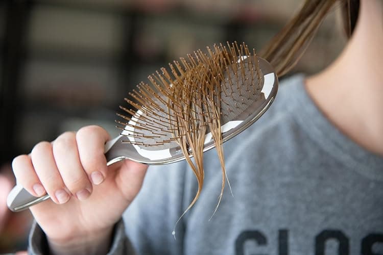 FRAMAR Cow Print Hair Brush Detangler, Detangling Hairbrush For Women, Wet Hair Brush For Girls, Hair Detangler Brush, Wet Hairbrush, Hairbrushes, Girls Hairbrush Detangler, Reduces Frizz – Cow Print thumbnail 7
