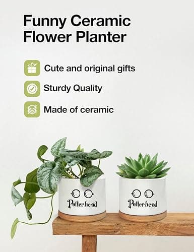 PWHINGN Funny Ceramic Succulent Planter Pots with Drainage Bamboo Tray, Office Windowsill Decor Indoor, Funny Plants Pots Desk Accessories for Plant Lovers Mom Friends Teacher (Not Plants) thumbnail 6