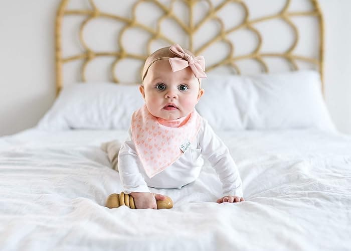 Copper Pearl 6 Pack Soft Cotton Baby Bibs for Drooling and Teething, Absorbent Drool Bibs for Baby Girl, Adjustable to Fit Newborns to Toddlers, Tons of Styles (Sunny Set) thumbnail 7