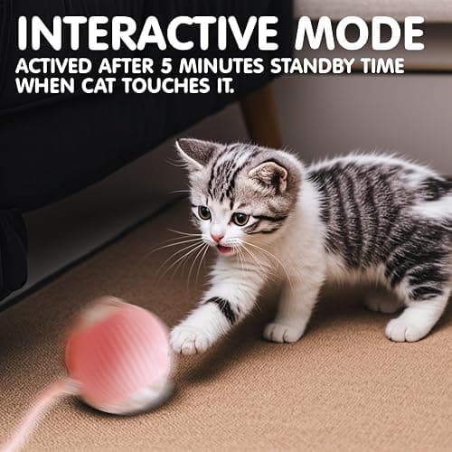 Rocfish Durable Interactive Cat Toys for Indoor Cats, Smart Automatic Cat Chase Ball Toy, Upgraded Speedy Tail Kitten Toy for Bored Indoor Adult Pets (Pink) thumbnail 6