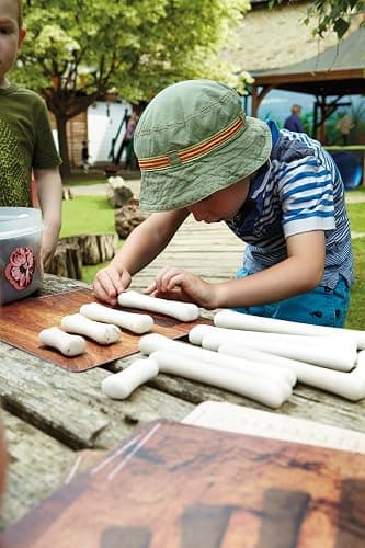 Yellow Door Dinosaur Bones Match & Measure Set, Multi thumbnail 6