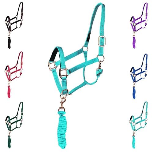 Majestic Ally Halter with Lead Rope for Horses–Adjustable Chin and Crown–Rolled Throat Latch with Replaceable Snap–Padded Noseband–Heavy Duty Rose Gold Finish Hardware - Image 1