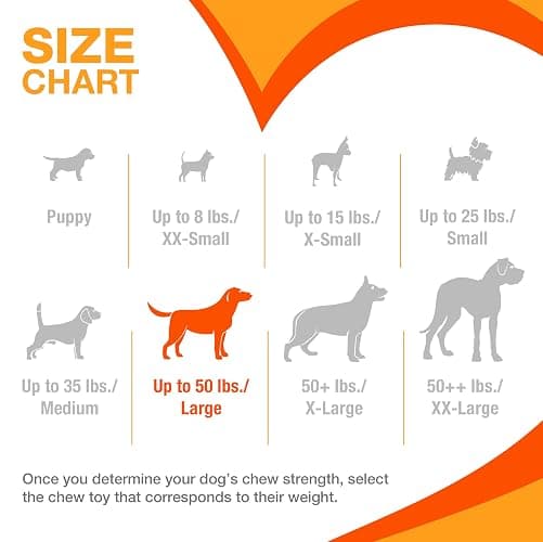 Nylabone Power Chew Original Bone Dog Toys, Chicken & Bacon Flavor, 2 Count | Large breeds, durable chew toys, discourages destructive chewing, long lasting, flavor throughout, for dogs up to 50 pounds thumbnail 6
