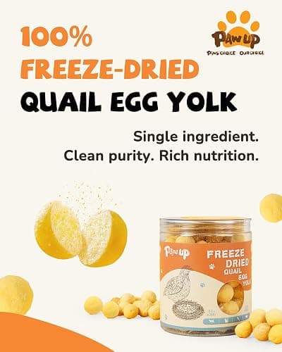 PAWUP Freeze Dried Cat & Dog Treats, Natural Quail Egg Yolk, Single Ingredient, High-Protein Pet Snacks for Skin & Coat Health, No Artificial Additives, 9.2 oz | Cat Food Topper, Kitten Treats, Premium Quality Protein, Rawhide Free, Gluten&Grain Free thumbnail 2