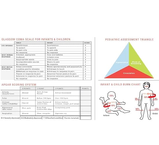 Pediatric Reference Tape thumbnail 5