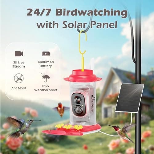 Smart Hummingbird Feeder with Camera Solar Powered, AI Identify, Instant Notification, Leakproof & Ant Moat Bird Feeder with Camera, Hummingbird Feeders for Outdoors, Gift for Bird Lovers (20 oz) thumbnail 2
