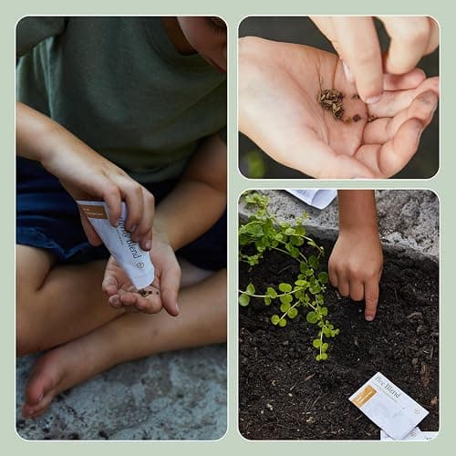 Modern Sprout Pollinator Garden Gift Set - Spring Gifts for Kids - Educational Gardening Tools for Little Gardeners - Eco-Friendly Kids Gardening Set w/Trowel, Wooden Markers & Wildflower Seeds (3-pk) thumbnail 5