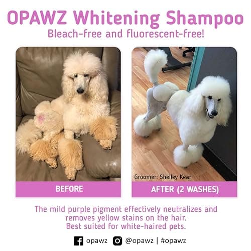 OPAWZ 05 Whitening Purple Shampoo for Dog and Cat, Safely Remove Yellow Stains, with No Bleach, Peroxide and Sulfate, Professional Groomers Recommended Product, 16.9 oz thumbnail 5