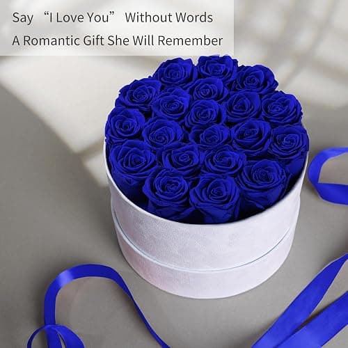 Preserved Roses Flower Box, Luxury Velvet Box with 20 Roses, Preserved Flowers, Romantic Gift for Her, Wife, Girlfriend, Birthday Anniversary Christmas (Royal Blue) thumbnail 4
