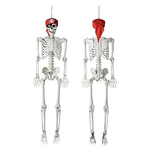 ZeHuoGe Halloween Prop 5.4 Ft. Posable Full Body Skeleton Life Size ABS Plastic Imitate The Ratio of Human Bones 1: 1 Haunted Houses Indoor Outdoor Props (5 Ft Full Body Skeleton) thumbnail 6