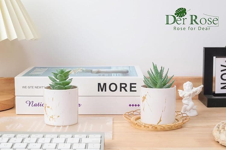 Der Rose Set of 2 Succulents Plants Artificial Mini Fake Succulents Plants for Home Office Desk Accessories for Women thumbnail 4