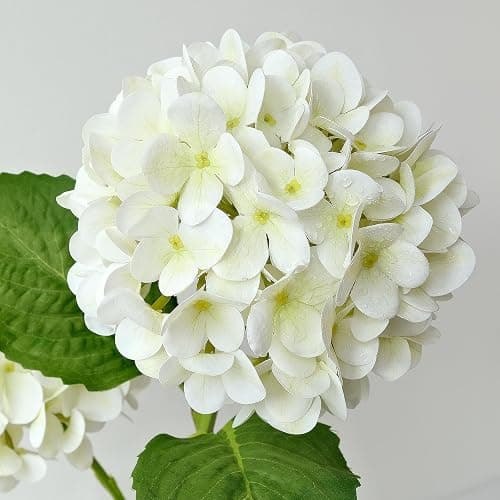 ZYTUYO 4PCS Silk White Hydrangea Artificial Flowers for Home Decor | 19.6 Inch Faux Hydrangea, Latex Petals, with Long Stems, Wedding Party Garden Arrangement, Table Centerpiece, DIY Bouquet thumbnail 4