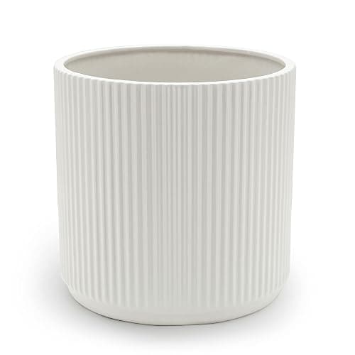 Amazon Basics Fluted Ceramic House Round Planter, 20.3 cm, White - Image 1