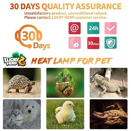 LUCKY HERP 100W Ceramic Heat Emitter, Reptile Heat Bulbs, Ceramic Heat Lamp for Reptiles, Amphibian, Chicken, Dog, Cat (2-Pack) thumbnail 7