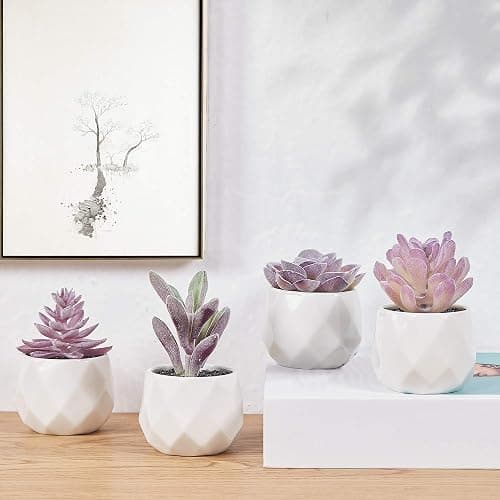 CADNLY Fake Succulent Plant Set - Artificial Desk Plants for Women Desk - Realistic Faux Succulents in Ceramic Pots - Mini Purple Decor for Bedroom Bathroom Office Shelf 4 Pack thumbnail 8