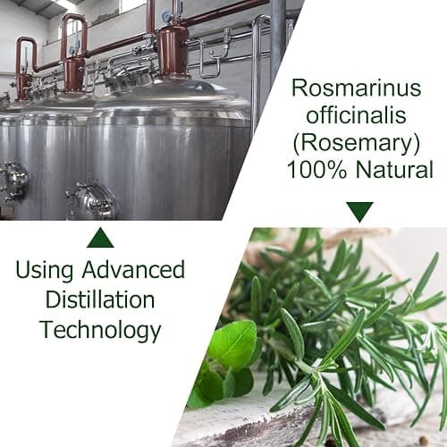 Rosemary Hair Growth Oil, Rosemary Essential Oil, Rosemary Oil for Hair Growth | Eyebrow and Eyelash Growth | Skin Care, 100% Pure Natural Hair Oil Serum, Stimulates Hair Growth, 60ml thumbnail 7