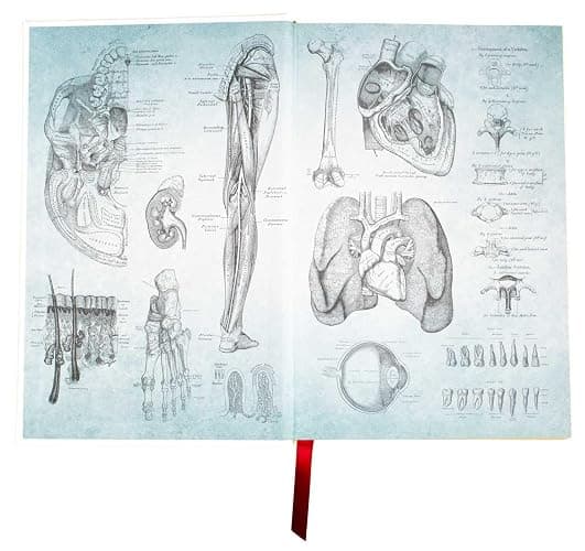 Gray's Anatomy: Anatomy Descriptive and Surgical (Leather-bound Classics) thumbnail 4