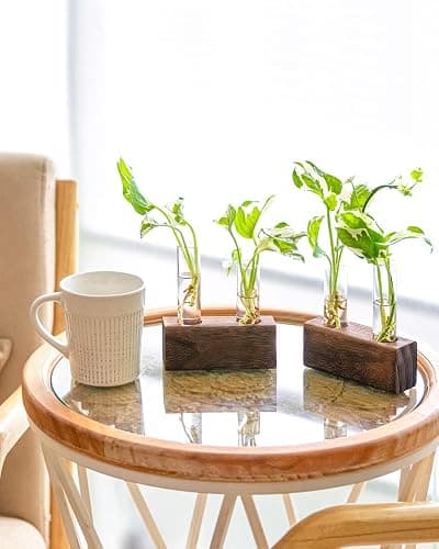 Propagation Station, Plants Terrarium, Plants Lover Gifts for Women,Plant Cutting Holder Home décor,Gifts for Women,House Warming New Home-4 Tubes-Brown thumbnail 9