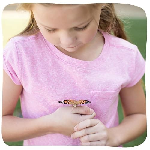 Insect Lore Butterfly Garden with 10 Live Baby Caterpillars - Habitat, Feeder, Chrys-A-Lid Holders, STEM Activity Journal - Raise and Release Painted Lady Butterflies thumbnail 2