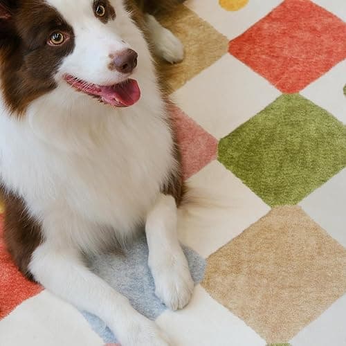 jinchan Macy 5x7 Area Rug for Kids Room Modern Colorful Checkered Diamond Nursery Rug Indoor Washable Soft Non Slip Carpet for Playroom Classroom Bedroom Dorm Daycare Living Room Circus on Cream thumbnail 4