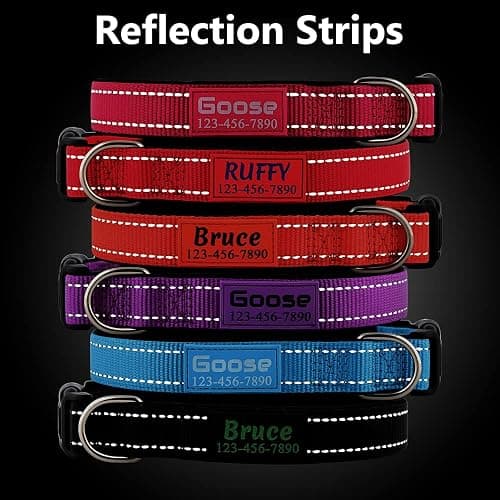 Personalized Dog Collars Custom with Pet Name and Phone Number, Soft Neoprene Padded Reflective Nylon Collar, 4 Adjustable Sizes - for Boy, Girl Dogs thumbnail 3