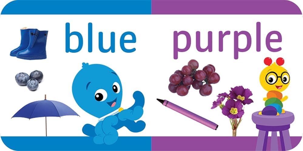 Baby Einstein - My First Library Board Book Block 12-Book Set - First Words, Alphabet, Numbers, and More! - PI Kids thumbnail 7