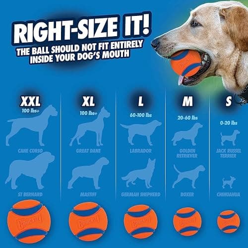 Chuckit! Ultra Tug Dog Toy, Small Fetch and Dog Ball Tug Toy for Dogs 0-20 Pounds thumbnail 6