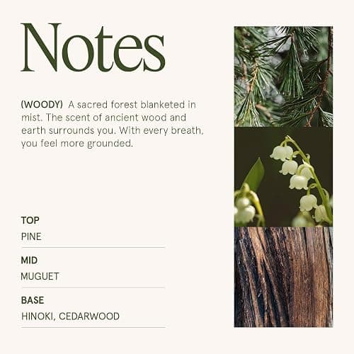 LA JOLIE MUSE Kōya Hinoki & Cypress Scented Candle – Pine, Leather & Hinoki | 19 oz Festive Christmas Candle | Wooden Wick | Clean Burn & Vibrant Scent | Fun Gift for Hosts & Fall Tablescapes thumbnail 5