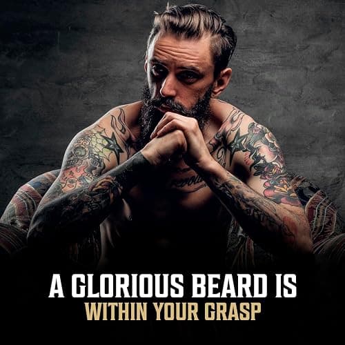 Viking Revolution - Ultimate Beard Kit Spiced Vanilla - Beard Grooming Kit for Men with Beard Brush, Beard Comb, Beard Balm, Beard Oil, Beard and Moustache Scissors - Husband Gifts for Men thumbnail 7