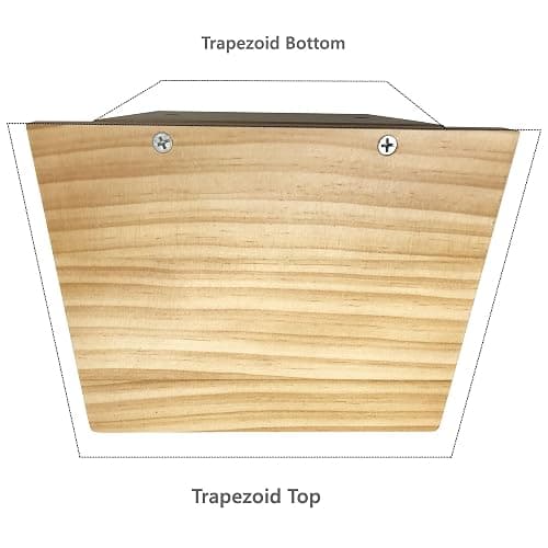 PHOENANCEE Small Floating Shelves,Trapezoid Wall Shelf for Speaker Table Lamp Plants Display,Decorative Wood Ledges Chic for Living Room,Bedroom,Kitchen,Office,Pine,8x6 Inch,2 Pack(Walnut) thumbnail 9