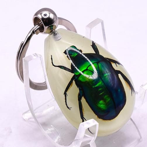 HQRP-Crystal 45mm Real Emerald Green Chafer Beetle in Glow in The Dark Lucite Keychain Insect Animal Taxidermy Sample Inside for Biology Science Education Decoration Tear Drop Key Ring Chain Pendant thumbnail 8