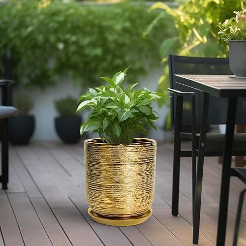 SUNPOTFOR Ceramic Flower Pot for Indoor Plants - 10 Inch Plant Pot with Drainage Hole and Saucer, Decorative Round Outdoor Indoor Planter, Housewarming Gifts, Home Garden Decor, Gold thumbnail 5