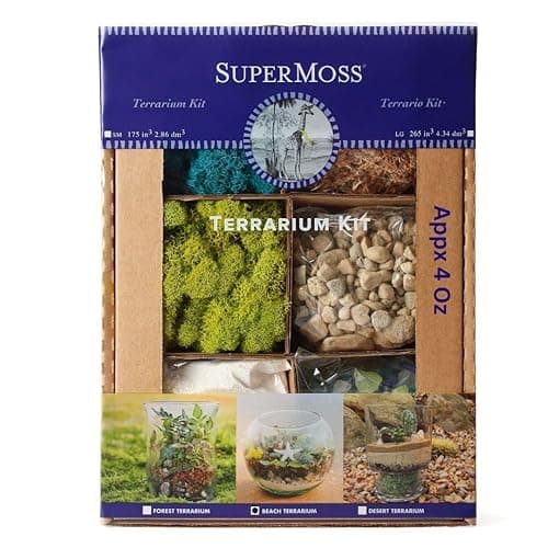 SuperMoss (90422) Beach Terrarium DIY Kit – Create Stunning Nature-Inspired Mini Gardens – Perfect for Home Decor, Office Gifts, and Plant Lovers, Appx 4 Oz - Image 1