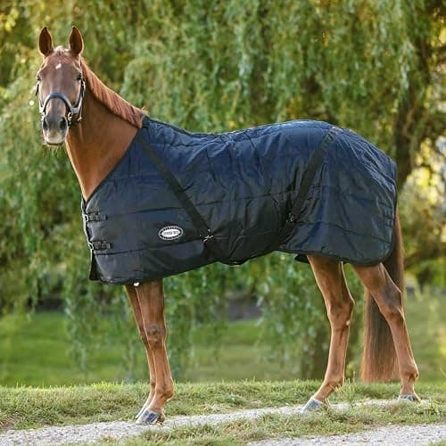 Country Pride Sentinel Channel Quilt Horse Stable Blanket, Midweight Open Front, 420D Nylon Outer Shell, 250g Poly-Fill Insulation, Wither Protection, Adjustable Leg Straps, Bias Surcingle (54,Black) - Image 1
