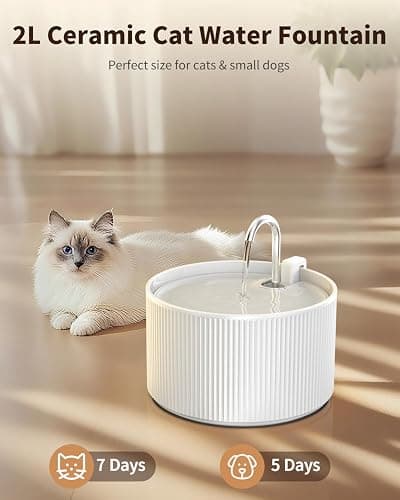 Ceramic Cat Water Fountain, 2.2L/74oz Automatic Pet Drinking Fountain for Indoor Cats and Small Dogs, Ultra Quiet, BPA-Free, Cat Water Dispenser with Filter – Easy to Clean thumbnail 2