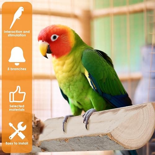 5 Pieces Wood Bird Perch, Natural Wooden Parrot Perches Stand Toys,Practical Hanging Multi-Branch Perch Platform Hammock Swing Toy,Bird Cage Accessories for Macaws Parakeets Conures Budgies Finches thumbnail 6