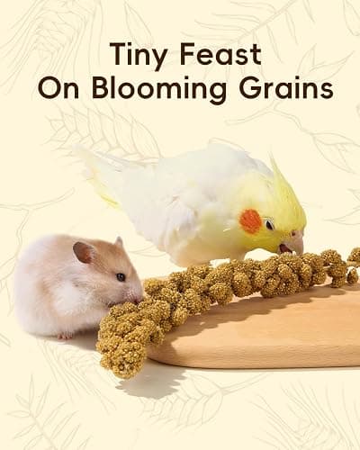 BUCATSTATE 90PCS Natural Hamster Bedding | Flowers & Herbs & Sprays for Cage Habitat Decor - Treat Cereal Grain for Dwarf Syrian Gerbils, Mice, Rat, Forage, Enrichment. thumbnail 4