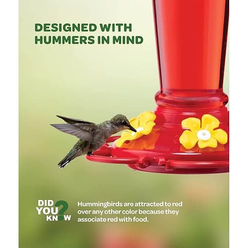 Hummingbird Feeder 10 oz Glass Hummingbird Feeders for Outdoors, with Built-in Ant Guard - Circular Perch with 5 Feeding Ports - Wide Mouth for Easy Filling/2 Part Base for Easy Cleaning thumbnail 2